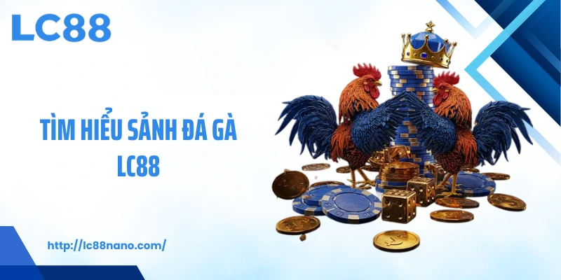 Tìm hiểu sảnh đá gà LC88