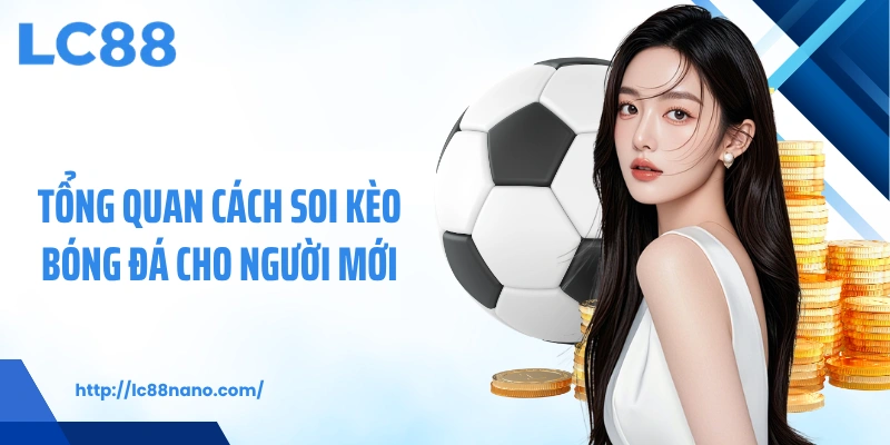 Tổng quan cách soi kèo bóng đá cho người mới