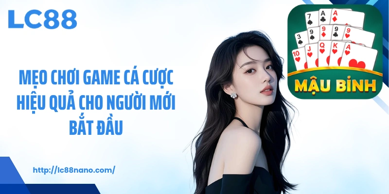 Mẹo chơi game cá cược hiệu quả cho người mới bắt đầu